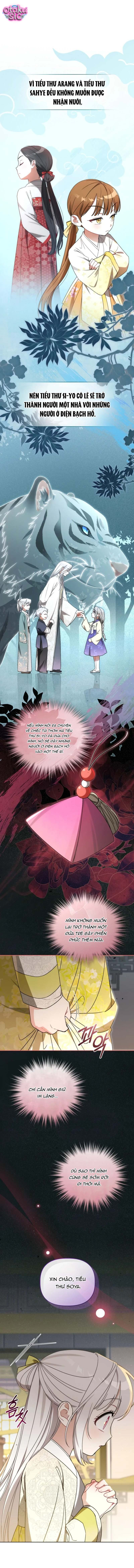 Bé Cưng Bông Xù Nhà Bạch Hổ - Chap 21 - Trang 9