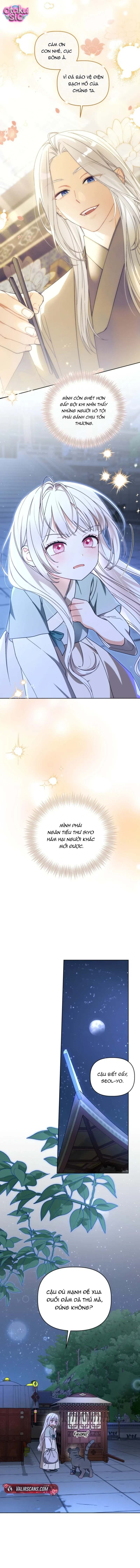 Bé Cưng Bông Xù Nhà Bạch Hổ - Chap 22 - Trang 4