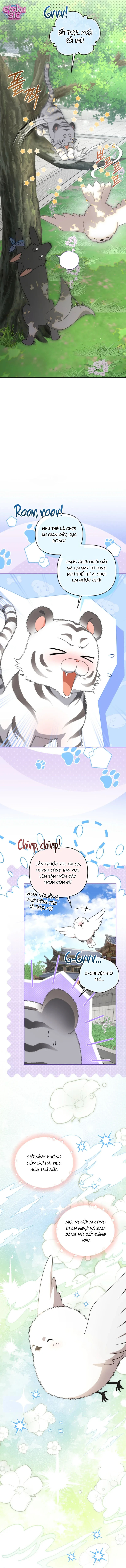 Bé Cưng Bông Xù Nhà Bạch Hổ - Chap 36