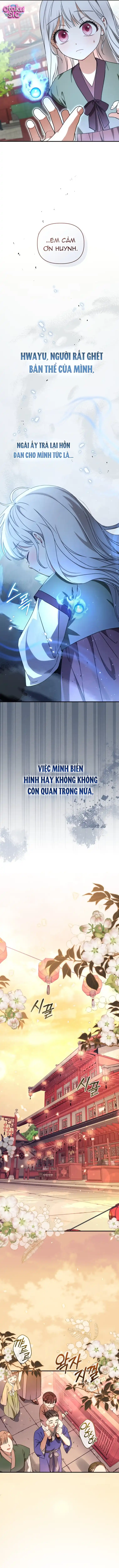Bé Cưng Bông Xù Nhà Bạch Hổ - Chap 4 - Trang 5