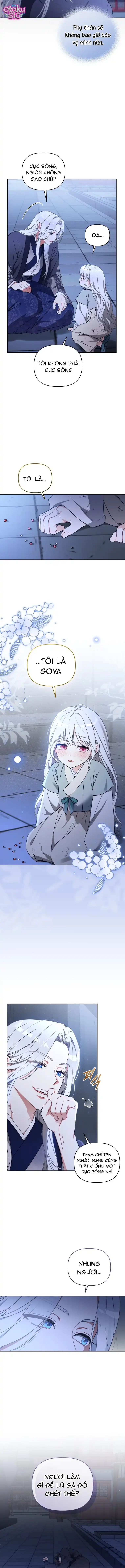 Bé Cưng Bông Xù Nhà Bạch Hổ - Chap 5 - Trang 7