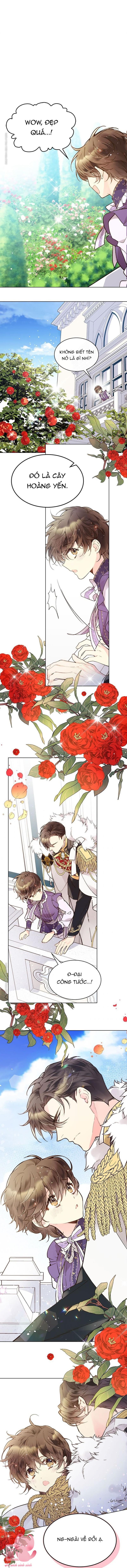 Beatrice - Chap 46 - Trang 0