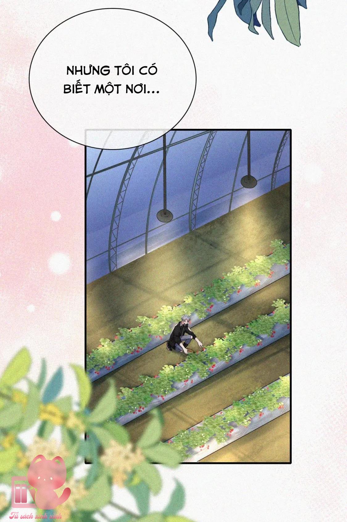 Bệnh Yêu - Chap 38