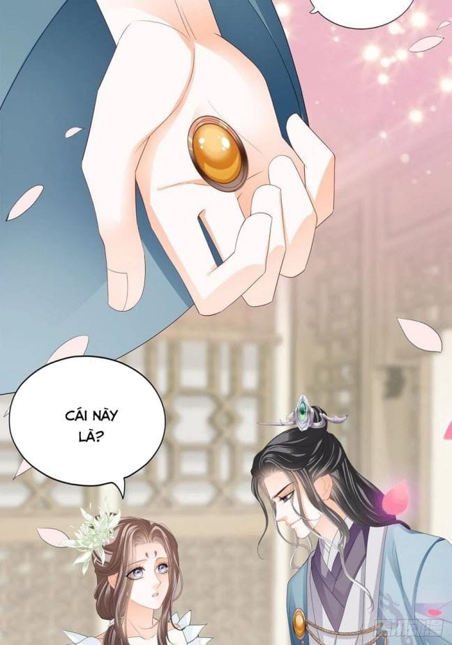 Bổn Vương Muốn Nàng - Chap 49