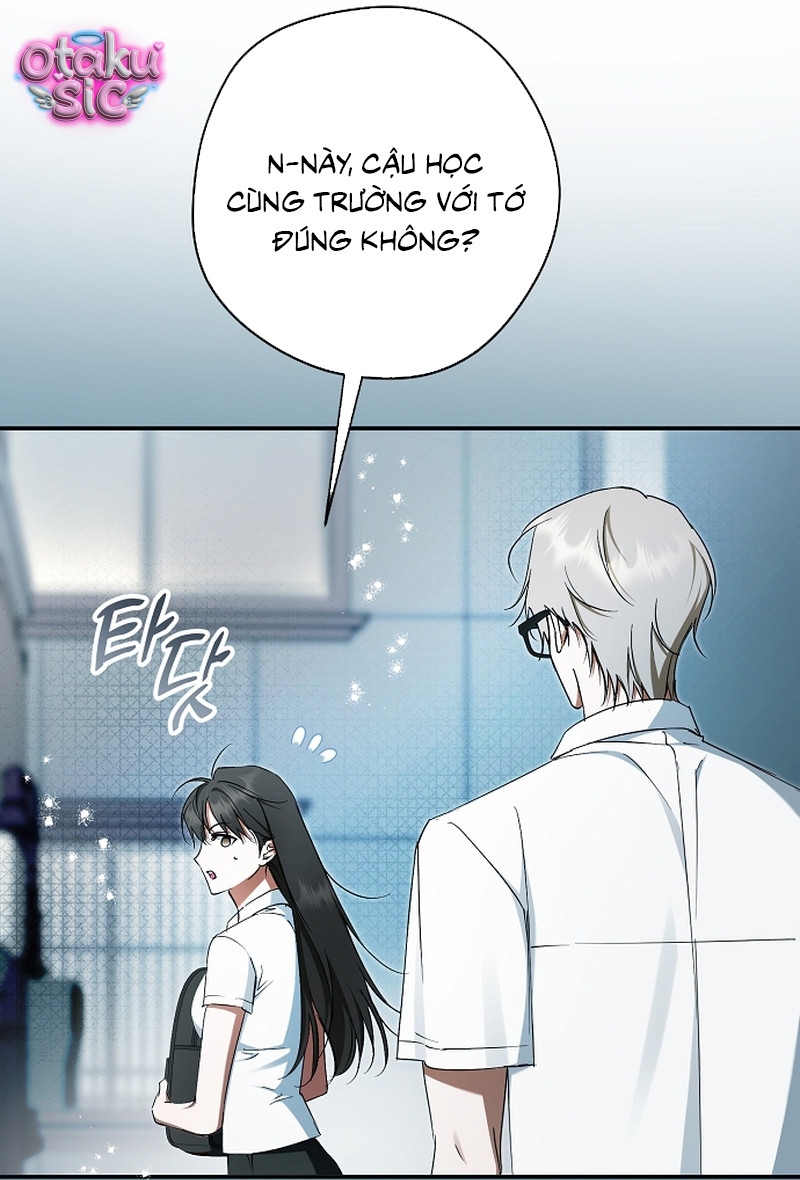 Các Nam Chính Đã Bị Nữ Phụ Cướp Mất - Chap 71