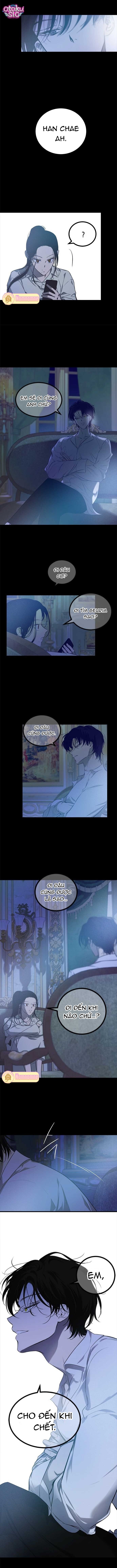 Cạm Bẫy - Chap 199 - Trang 6