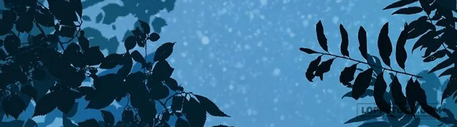 Cánh Đồng Bị Lãng Quên - Chap 16 - Trang 5