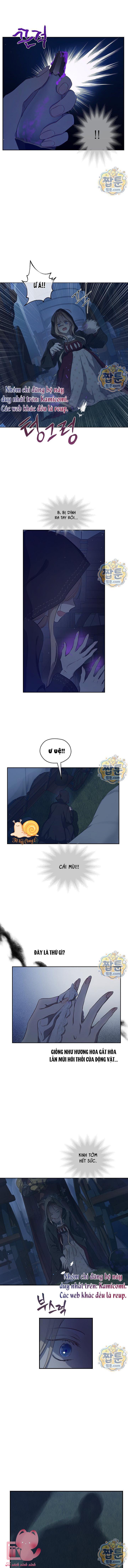 Cánh Đồng Bị Quên Lãng - Chap 31 - Trang 8