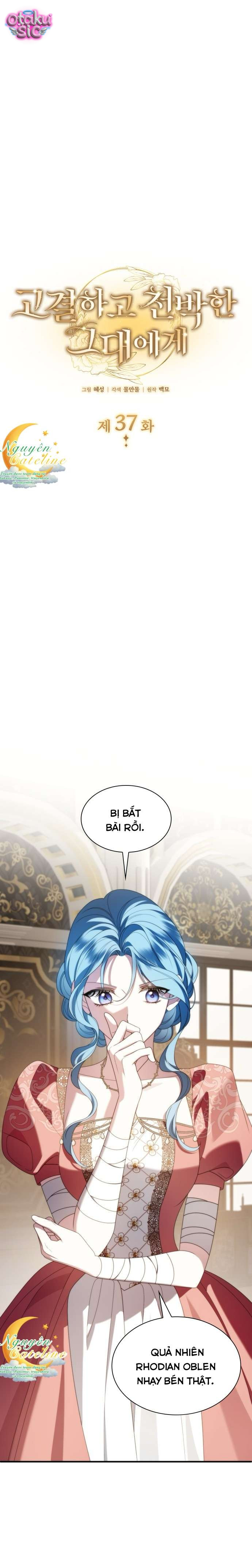 Cao Quý Và Phù Phiếm - Chap 37