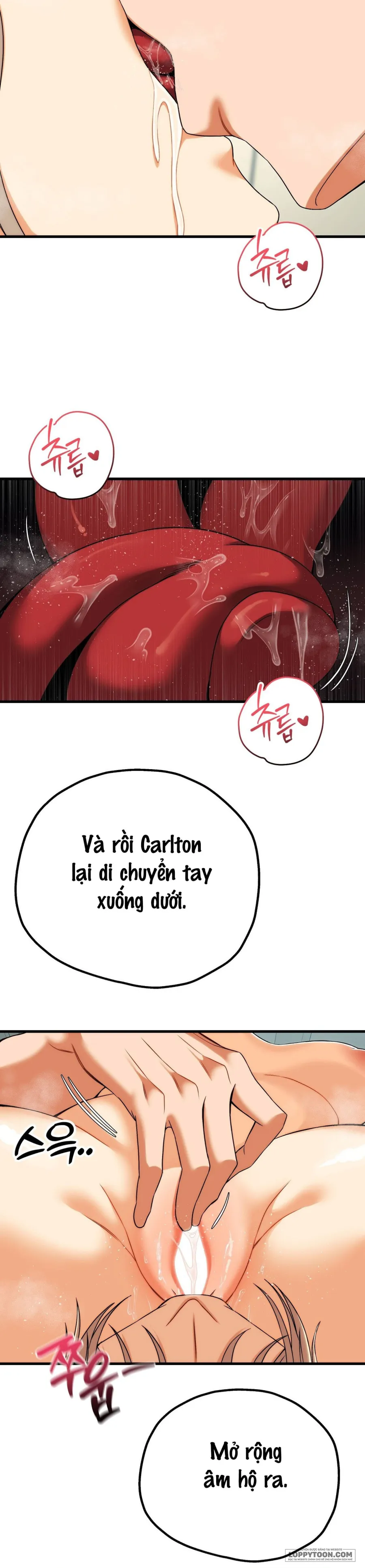 Câu Lạc Bộ Đọc Sách Người Lớn - Chap 12 - Trang 15