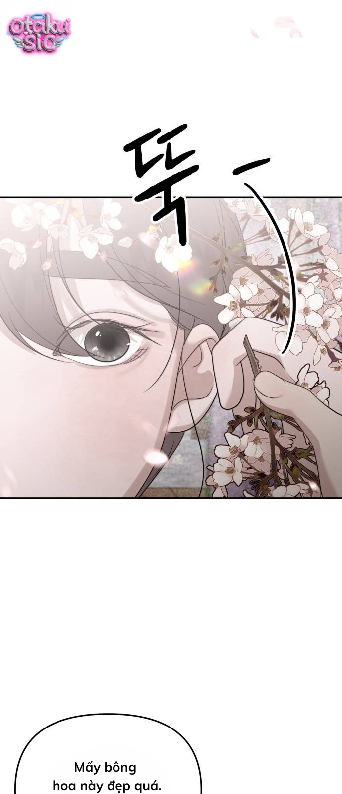 Câu trả lời dành cho cậu - Chap 10