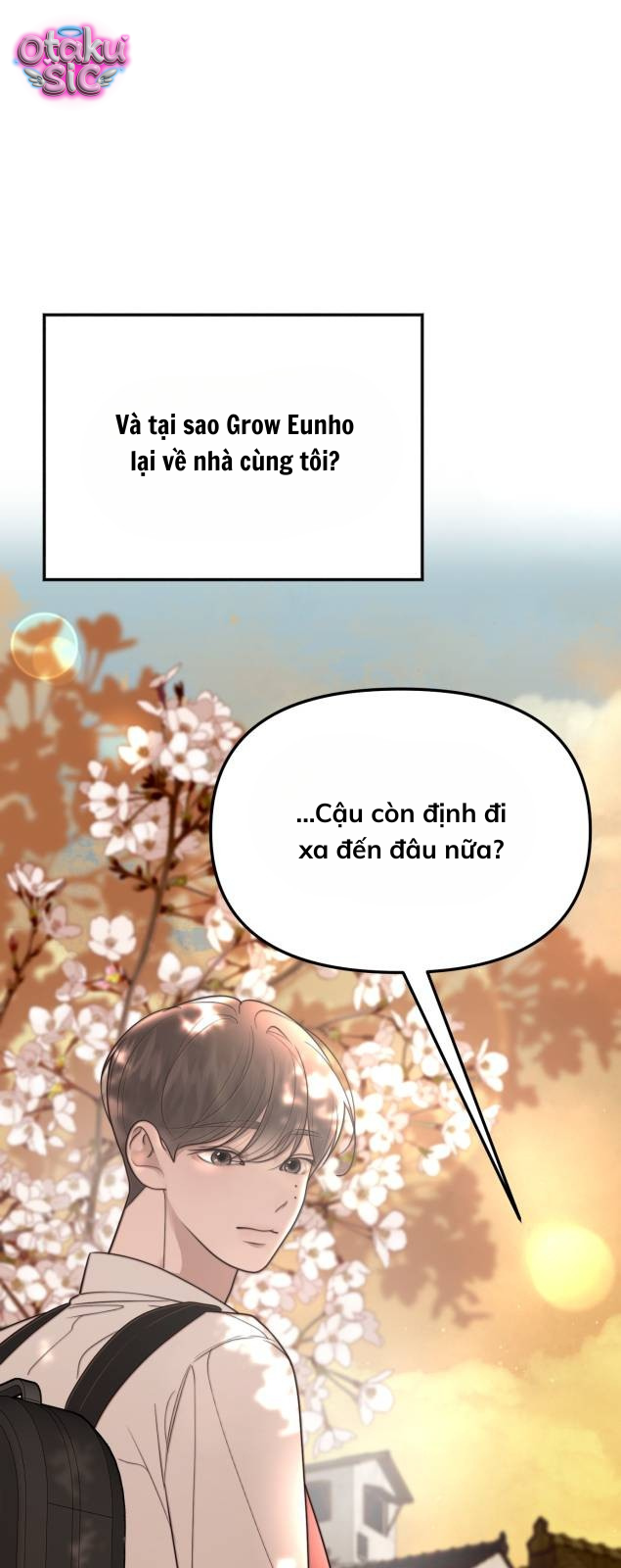 Câu trả lời dành cho cậu - Chap 13