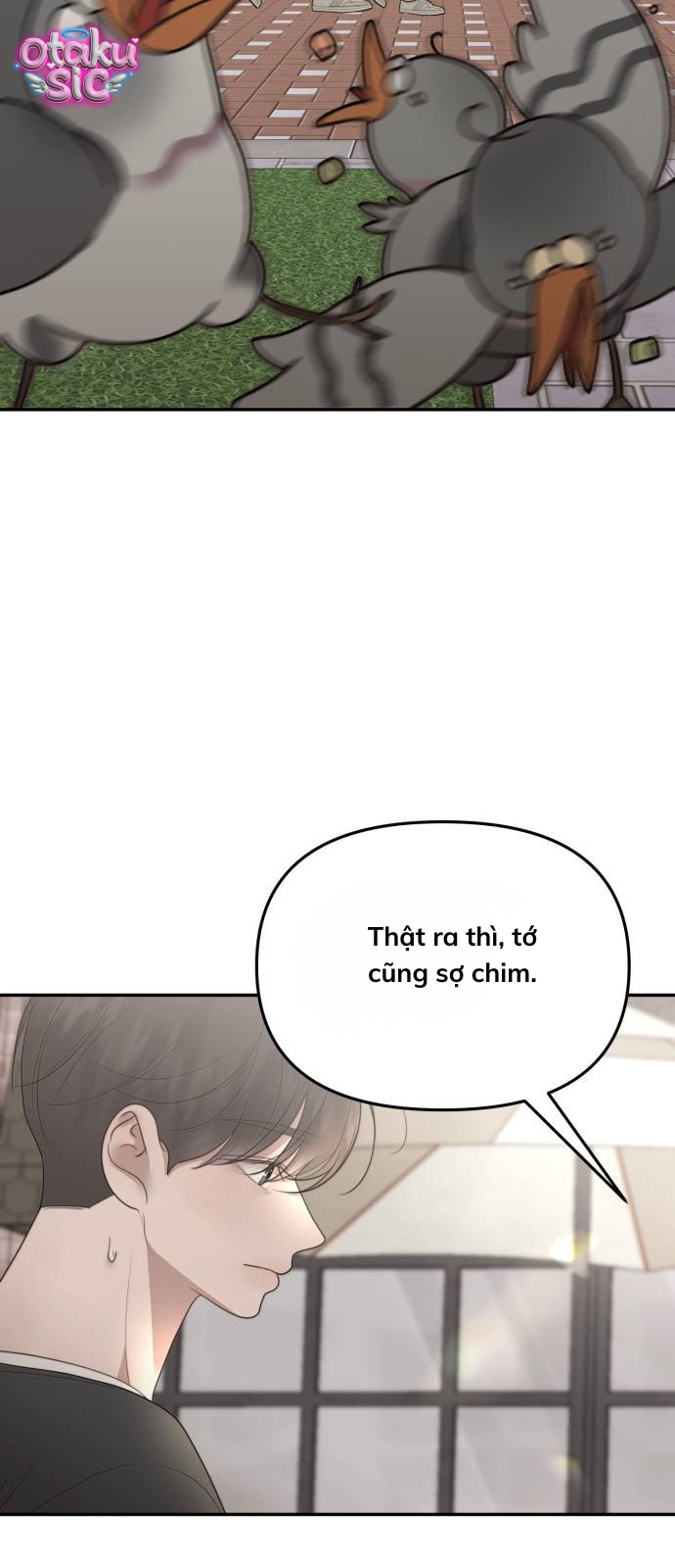 Câu trả lời dành cho cậu - Chap 16