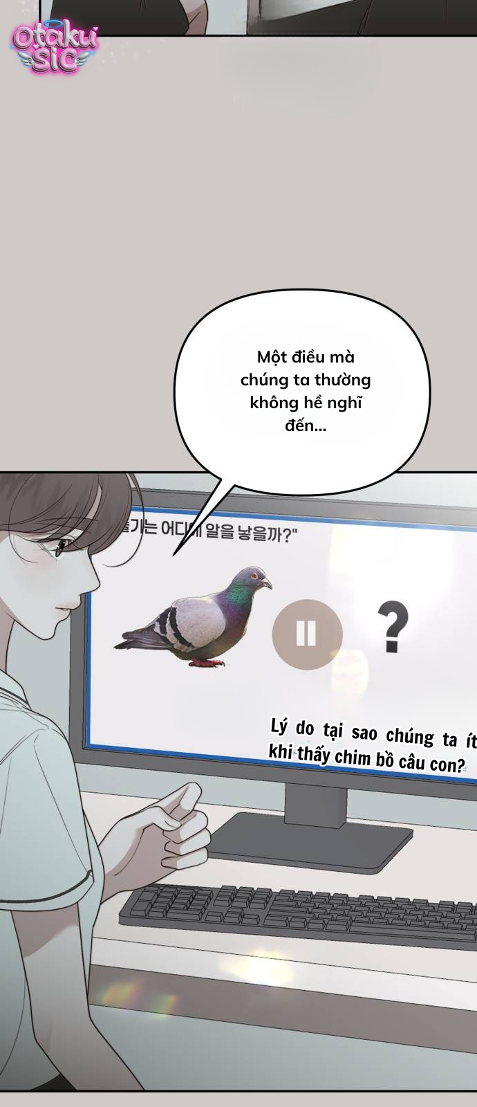 Câu trả lời dành cho cậu - Chap 16
