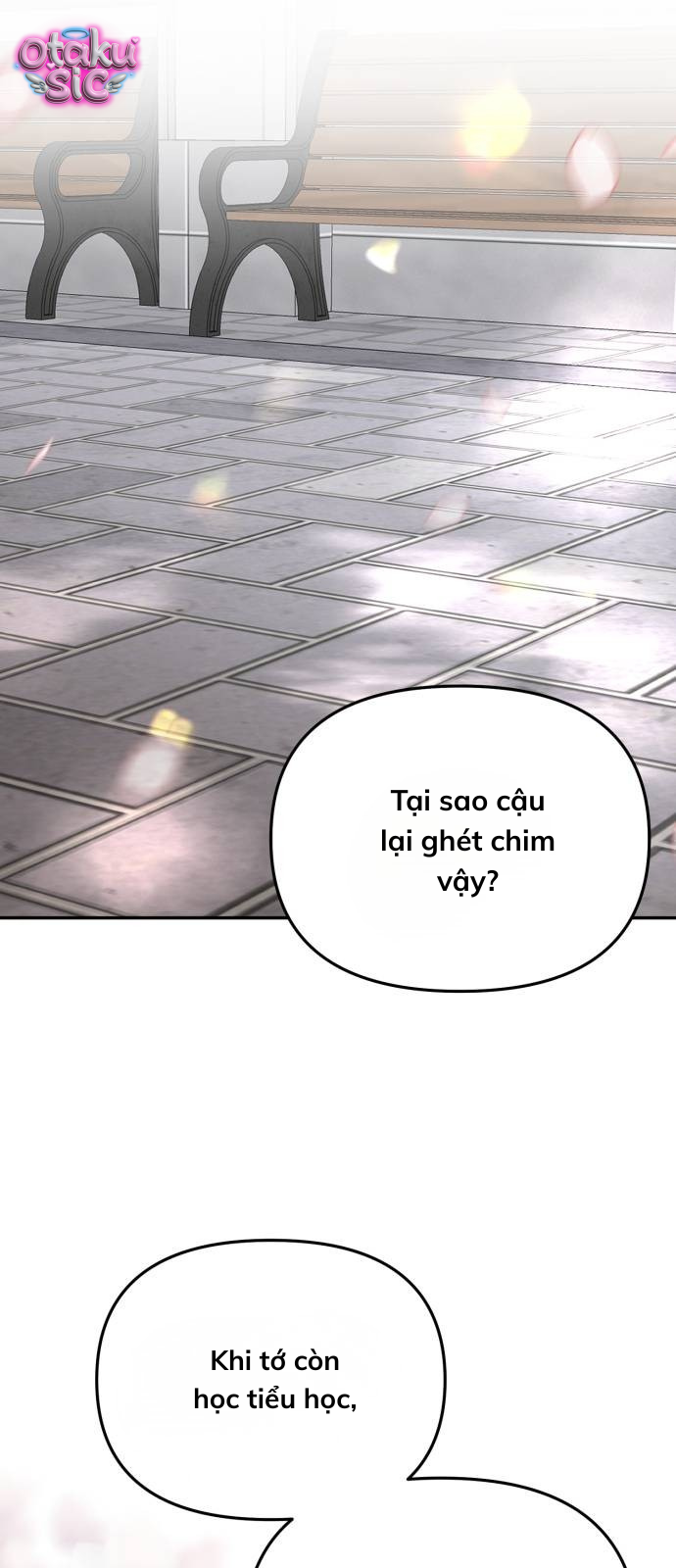 Câu trả lời dành cho cậu - Chap 17
