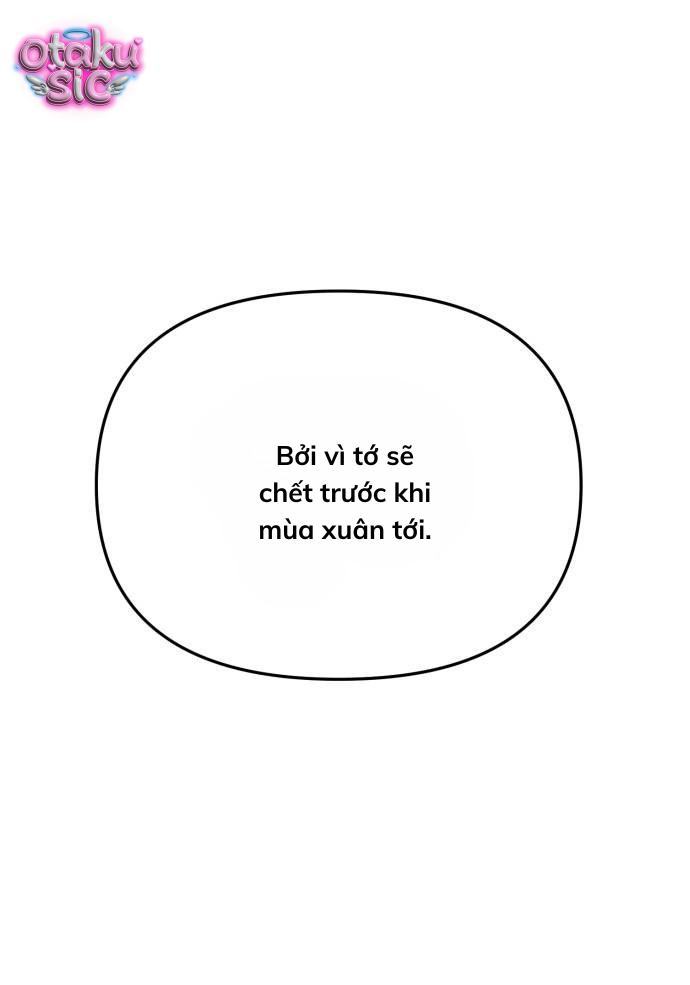 Câu trả lời dành cho cậu - Chap 2