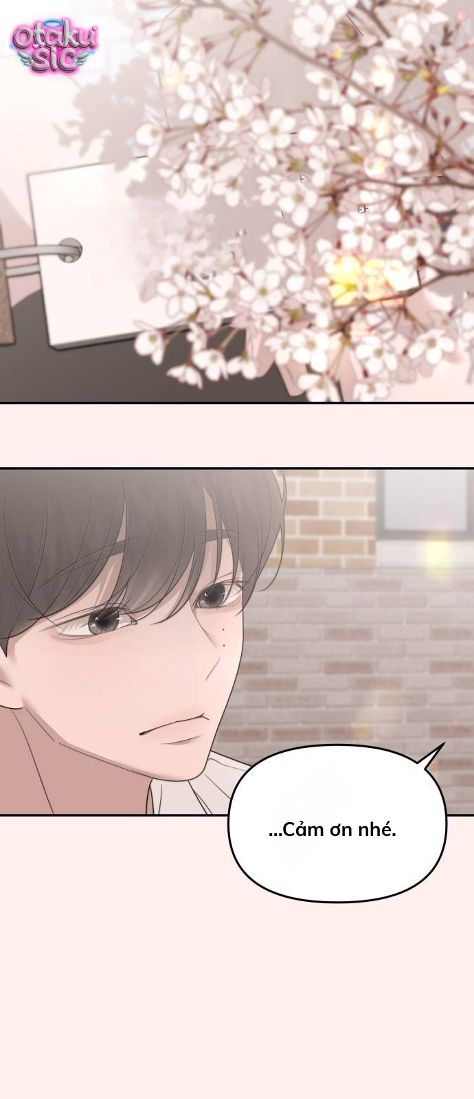 Câu trả lời dành cho cậu - Chap 20