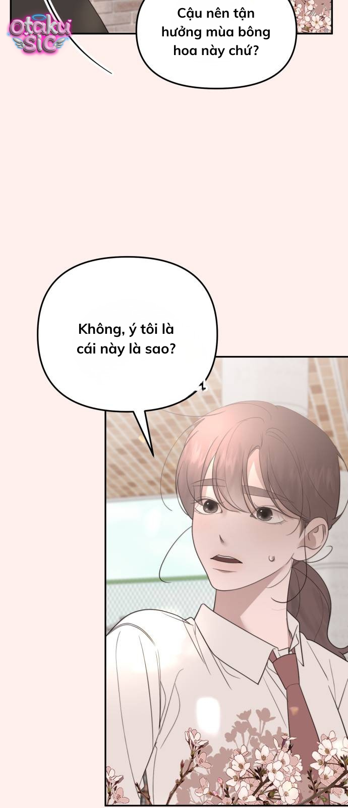 Câu trả lời dành cho cậu - Chap 20