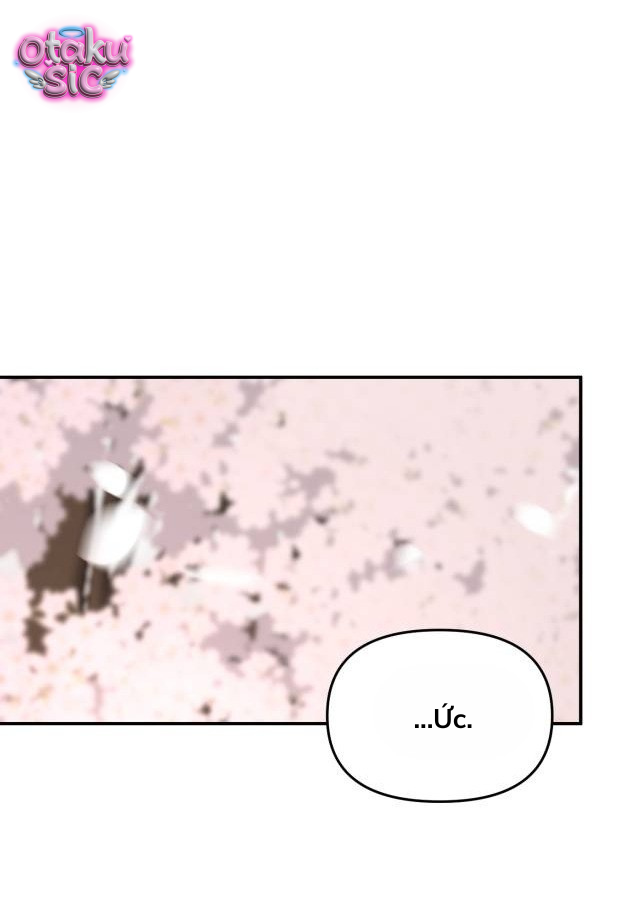 Câu trả lời dành cho cậu - Chap 5