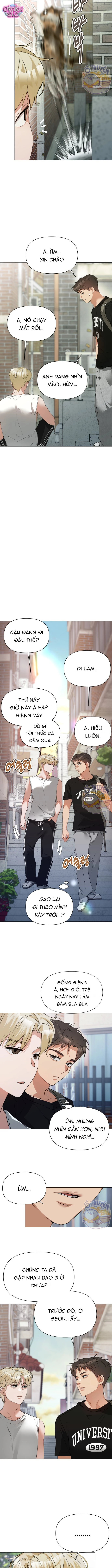 Chàng Romeo Của Chúng Ta - Chap 5 - Trang 2