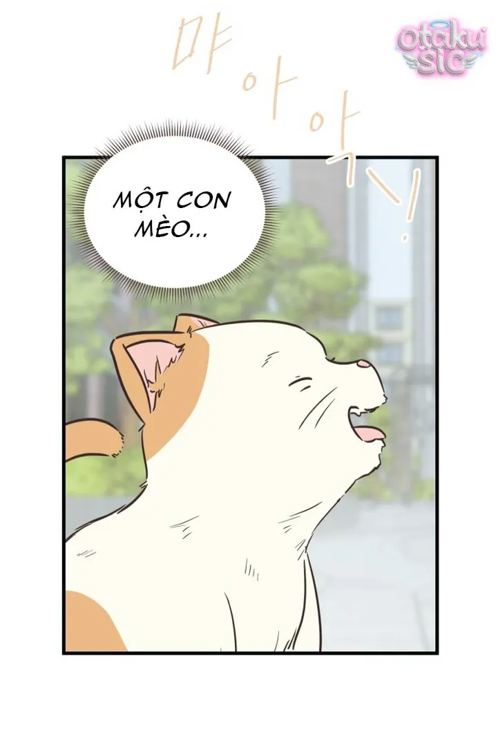 Chanh Mùa Hè - Chap 11 - Trang 54