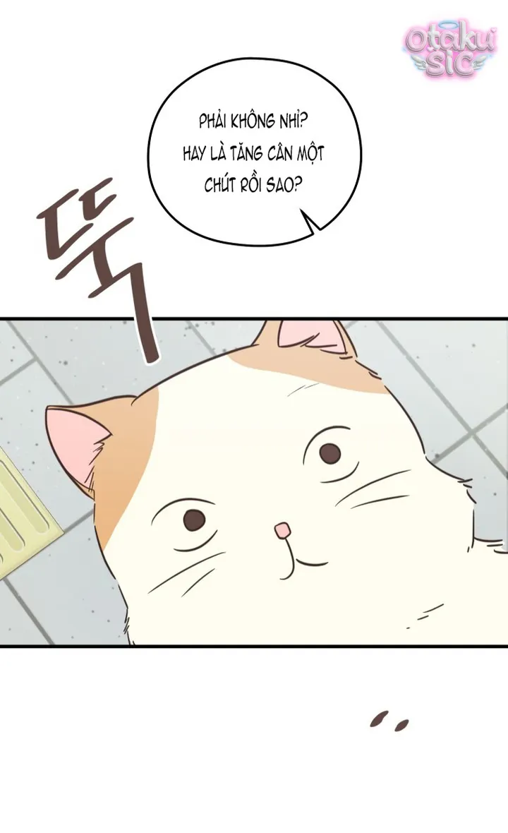Chanh Mùa Hè - Chap 12 - Trang 8