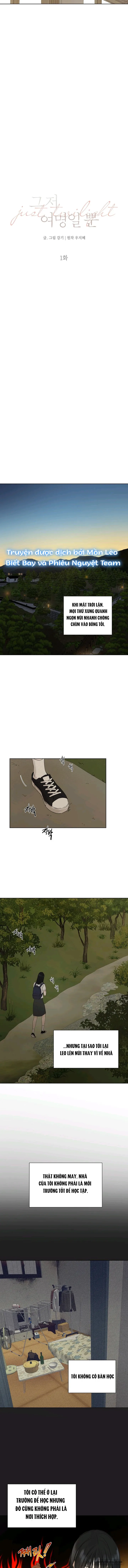 Chỉ Là Ánh Bình Minh - Chap 1 - Trang 11