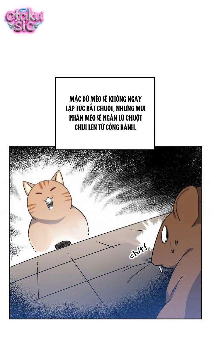 Chitra - Chap 56 - Trang 17