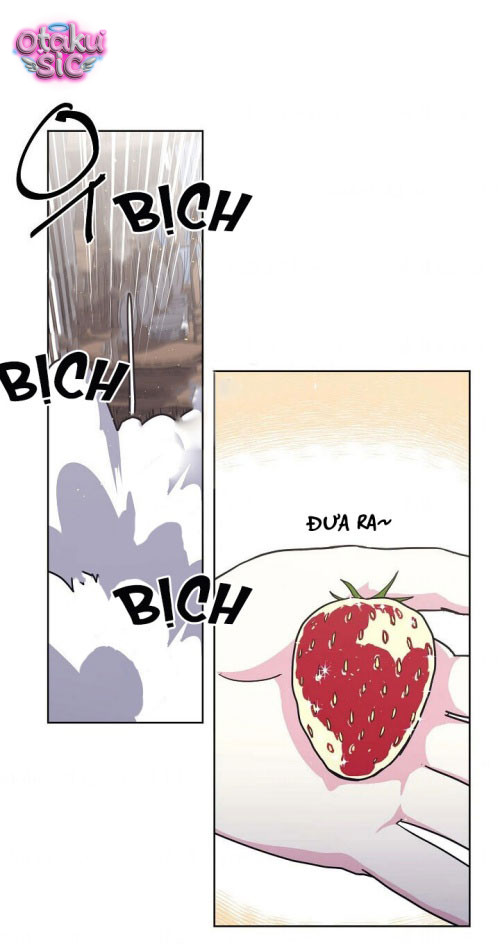 Chitra - Chap 67 - Trang 2