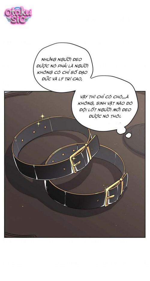 Chitra - Chap 79 - Trang 13