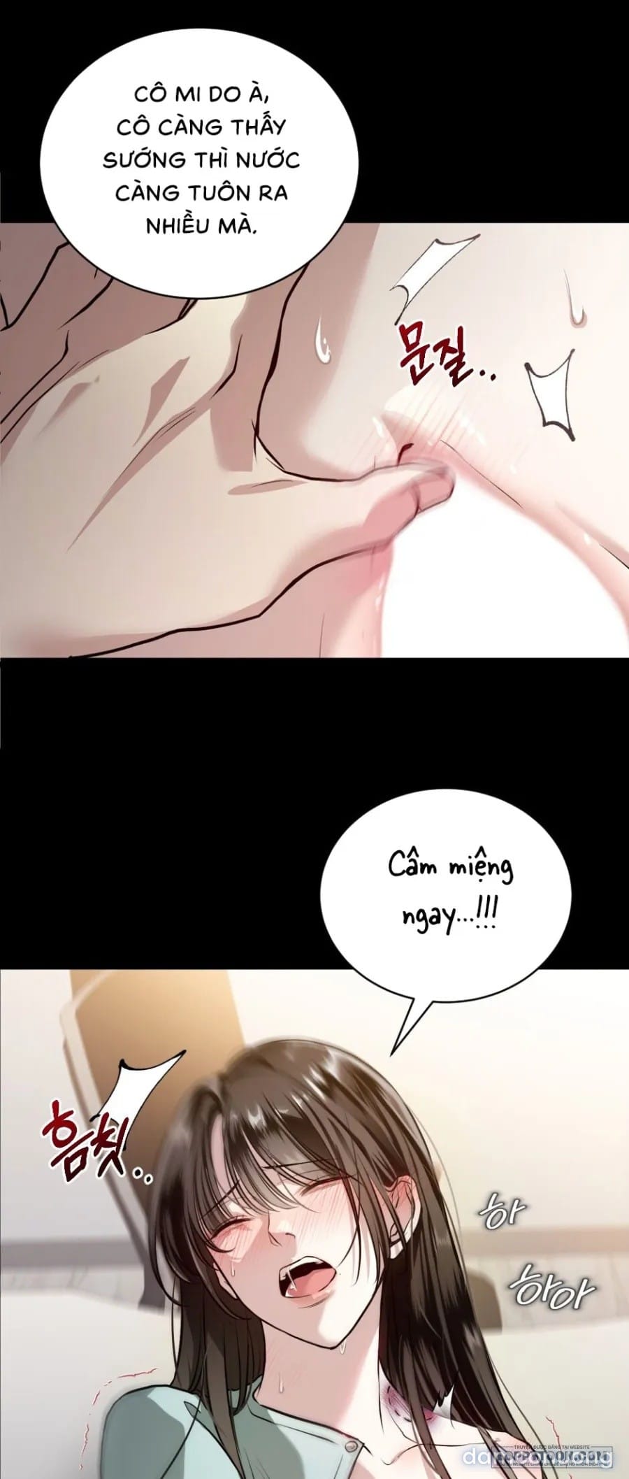 Chó Hoang Mơ Giấc Mơ Săn Mồi - Chap 1