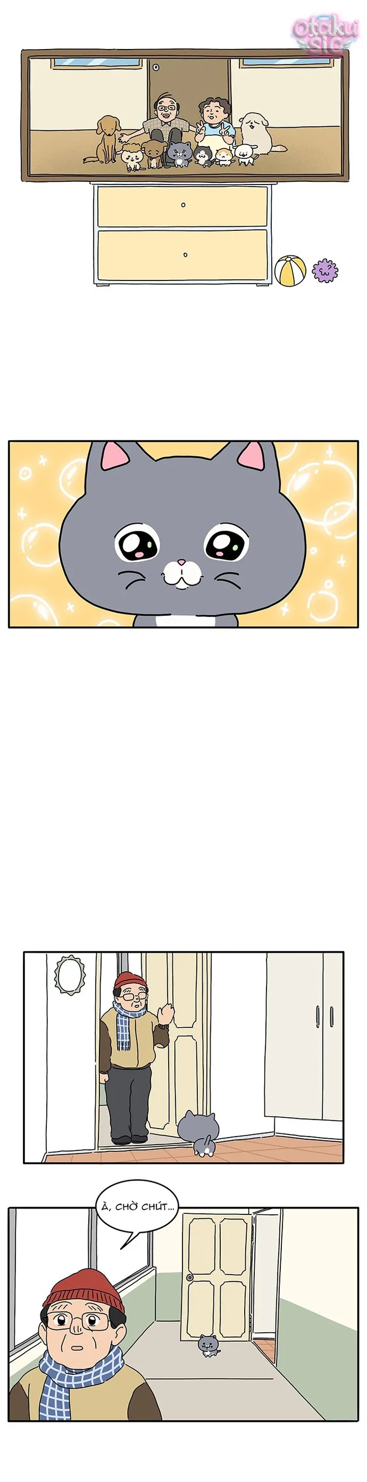 Chú Mèo Thần Tượng Dolly - Chap 1 - Trang 10