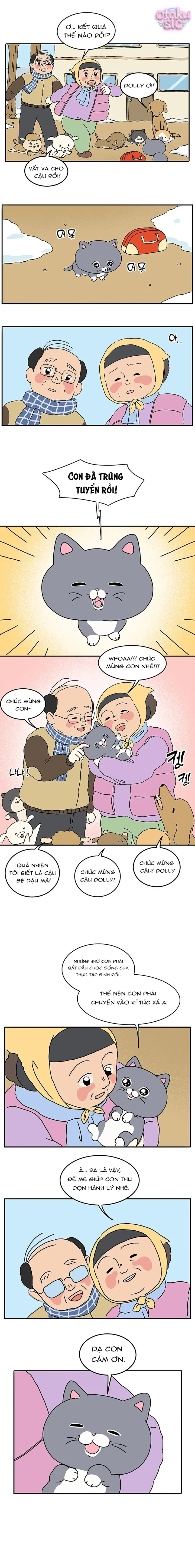 Chú Mèo Thần Tượng Dolly - Chap 1 - Trang 7