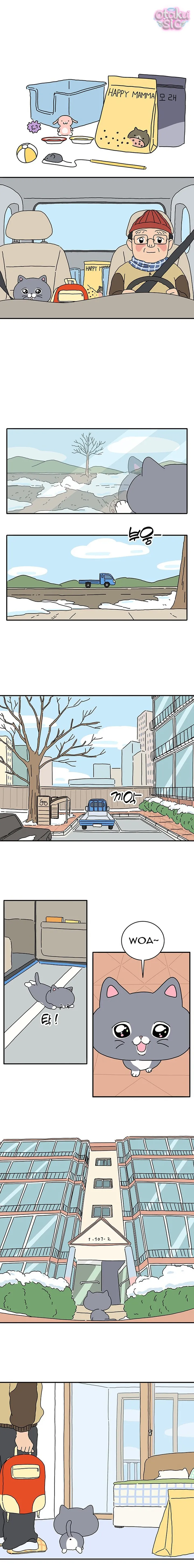 Chú Mèo Thần Tượng Dolly - Chap 1 - Trang 8