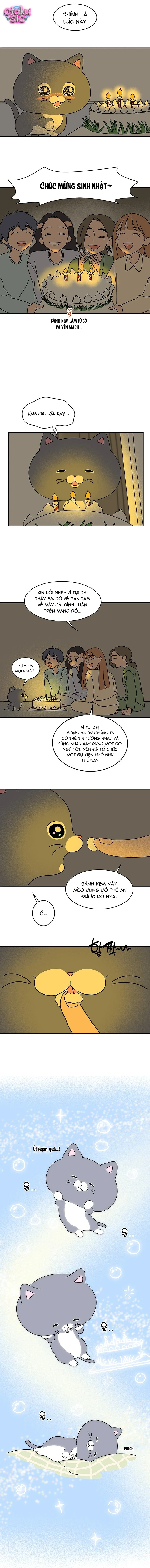 Chú Mèo Thần Tượng Dolly - Chap 3 - Trang 2