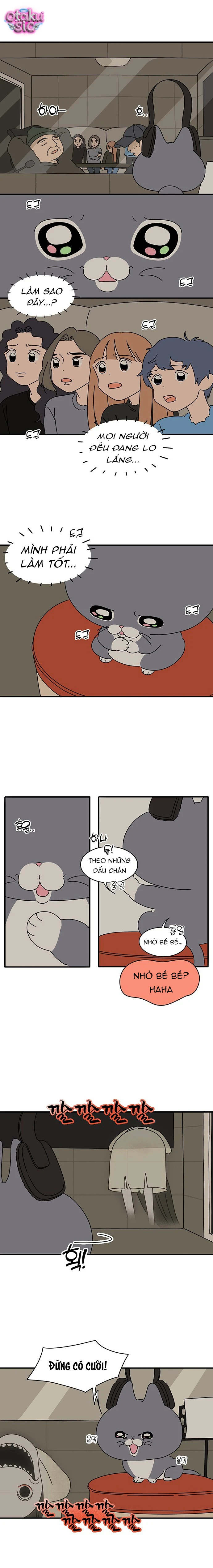 Chú Mèo Thần Tượng Dolly - Chap 4 - Trang 2