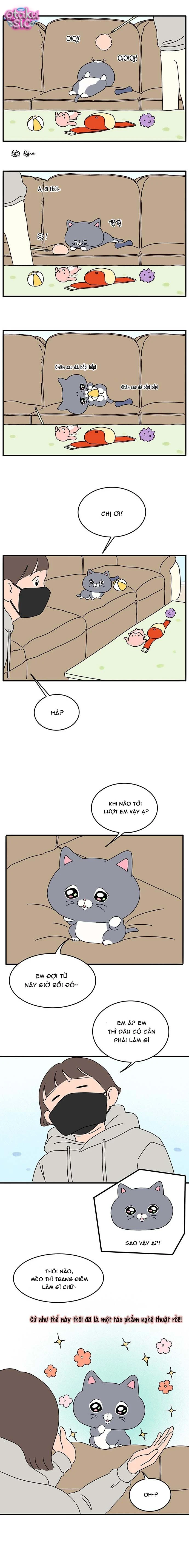 Chú Mèo Thần Tượng Dolly - Chap 5 - Trang 5