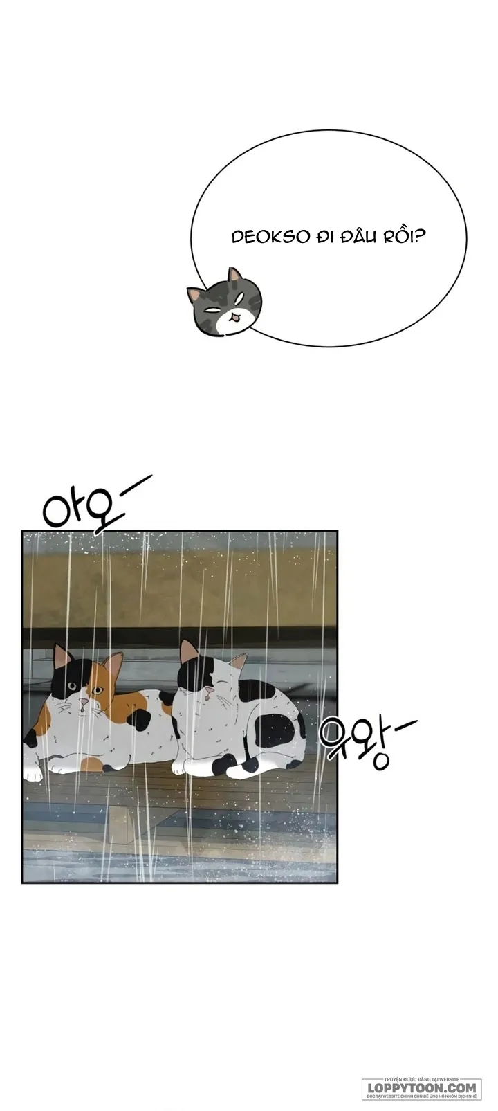 Chưa Từng Chạm Tới Em - Chap 19 - Trang 13