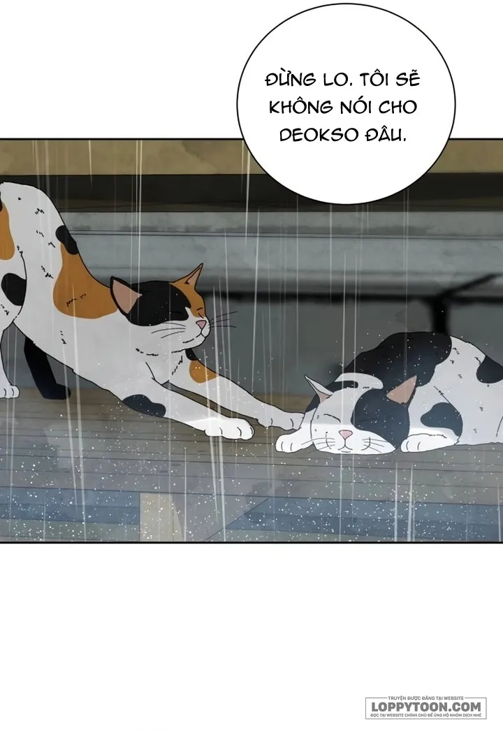 Chưa Từng Chạm Tới Em - Chap 19 - Trang 15