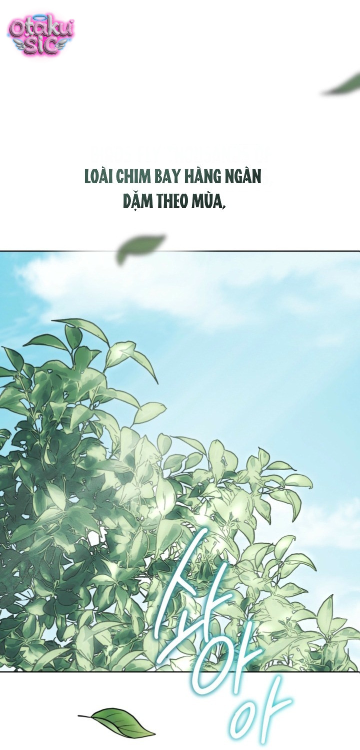 Chuộc tội cho sự tàn nhẫn đó - Chap 17