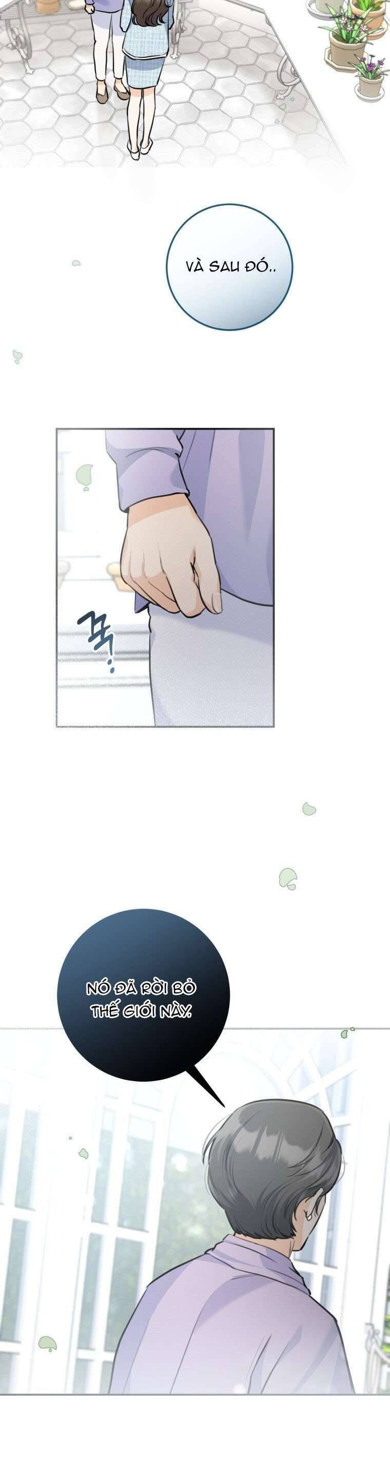 Chuyện Kết Hôn - Chap 31 - Trang 27