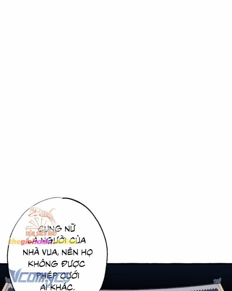 Chuyện Tình Hoa Lưu Ly - Chap 1 - Trang 77