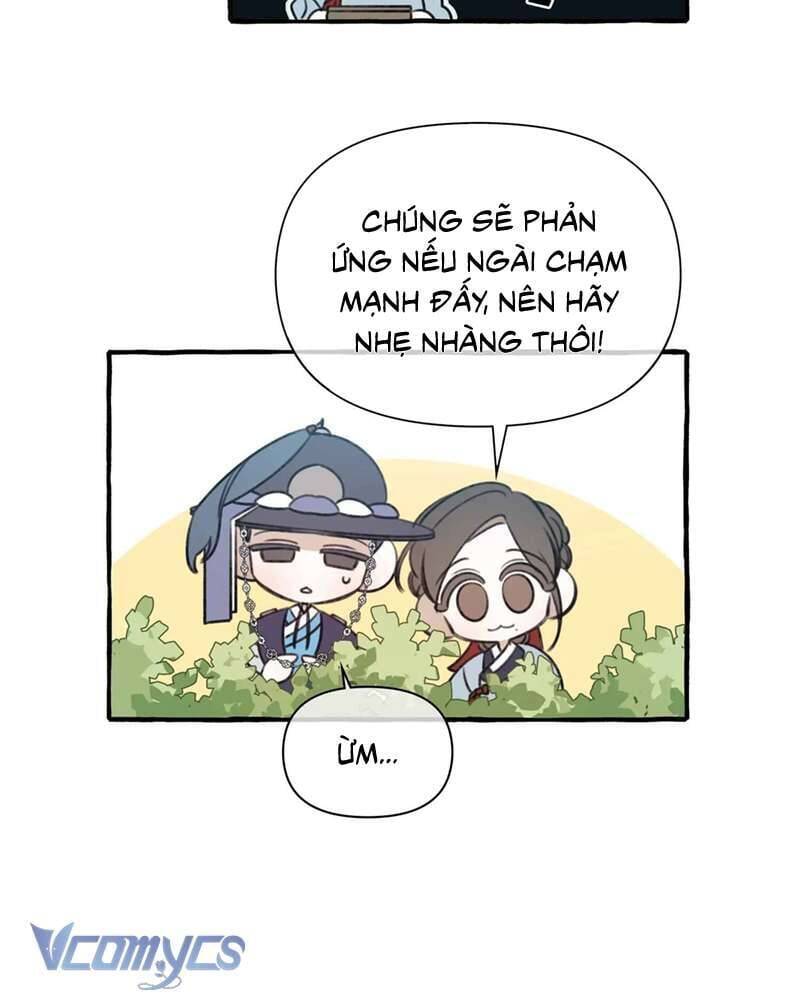 Chuyện Tình Hoa Lưu Ly - Chap 3 - Trang 50