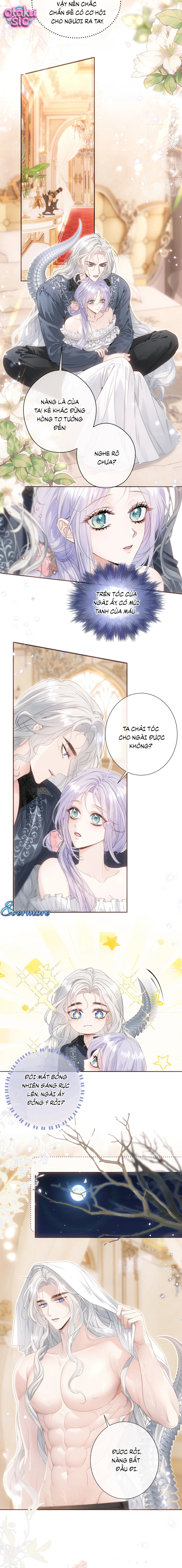 Cô Dâu Của Ác Long - Chap 17