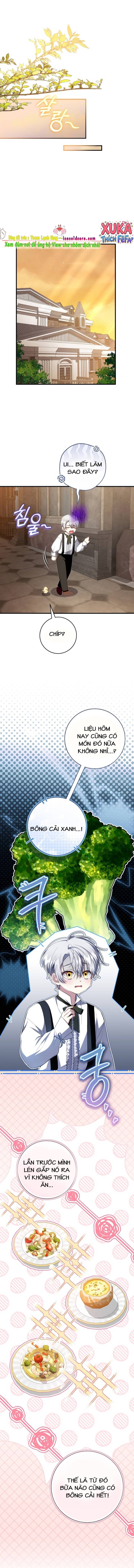 Cô Dâu Ma Của Vị Hoàng Tử Bị Lãng Quên - Chap Cô Dâu Ma Của [...] – Chap 3 - Trang 8
