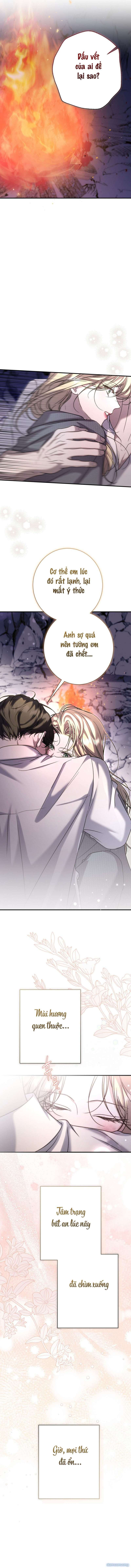 Cô Tiểu Thư Quá Đỗi Tò Mò - Chap 14 - Trang 5