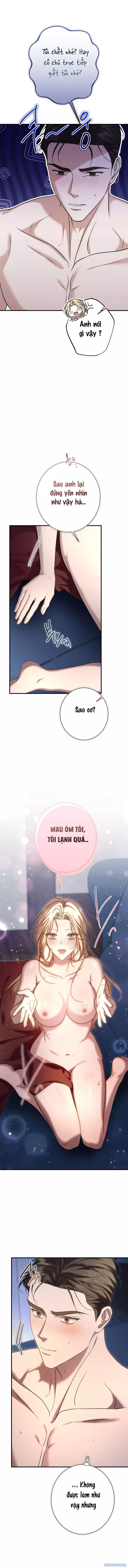 Cô Tiểu Thư Quá Đỗi Tò Mò - Chap 4 - Trang 6