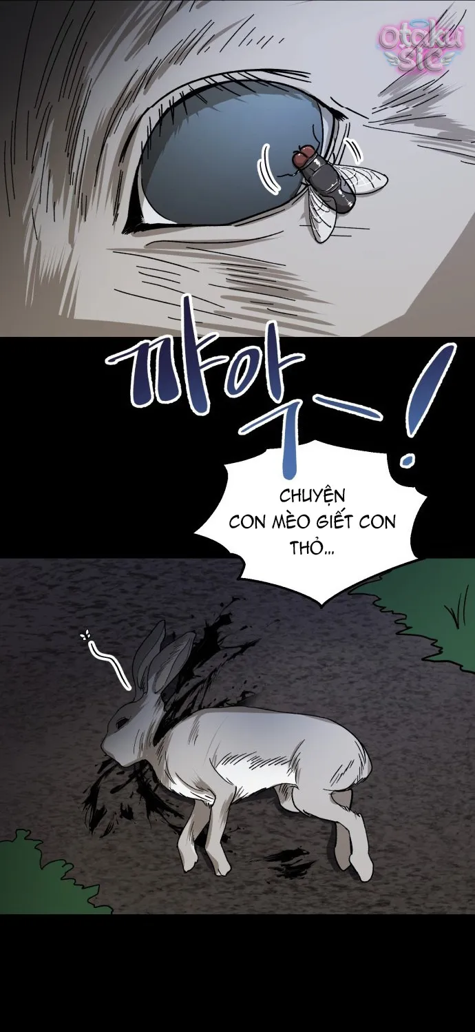 Con Rối Thần Tượng - Chap 2 - Trang 11