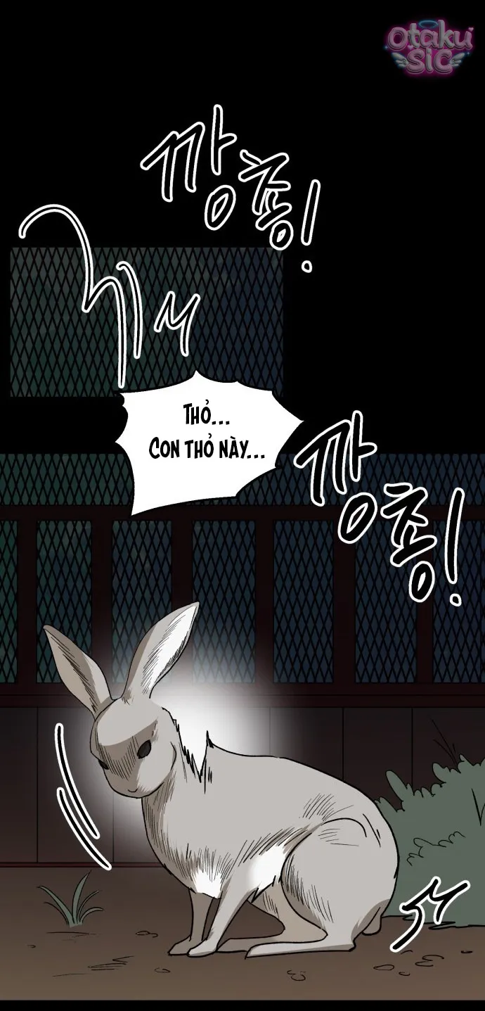 Con Rối Thần Tượng - Chap 2 - Trang 17