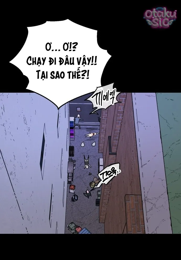 Con Rối Thần Tượng - Chap 20 - Trang 19